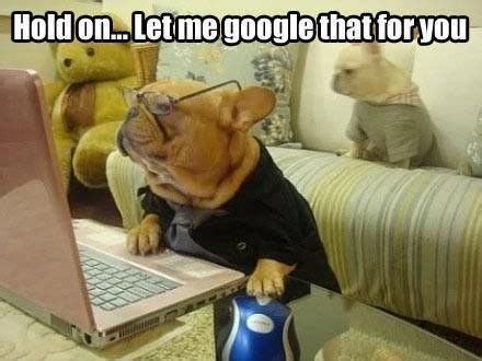 Let Me Google That.